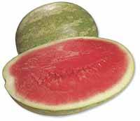 Healing Food to Heal Various Diseases