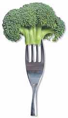 Healing Food to Heal Various Diseases