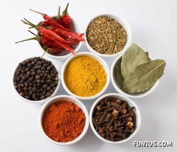 Spicy Remedies for all Diseases