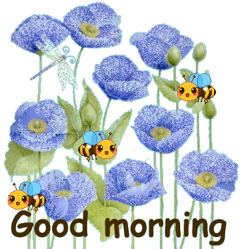 Life is a Miracle, Don't Let it Slip Away