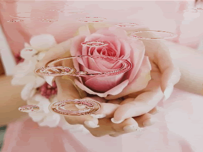 Life is a Miracle, Don't Let it Slip Away