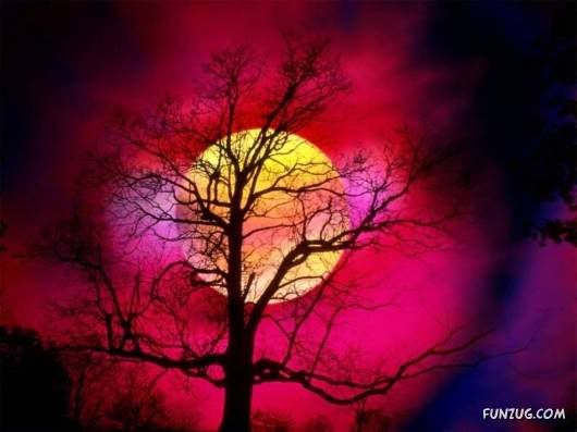 Tomorrow Can Be Too Late