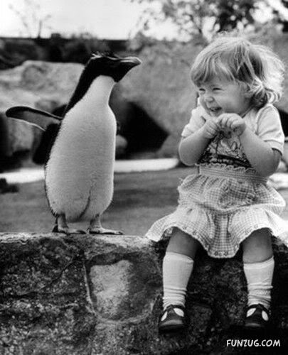 Real Meaning of Words Using Pictures