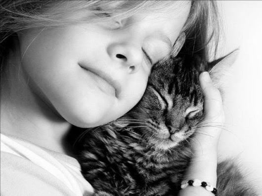 Wonderful Photography Worth Watching