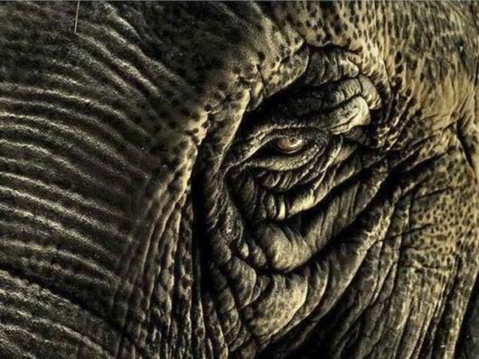 Wonderful Photography Worth Watching