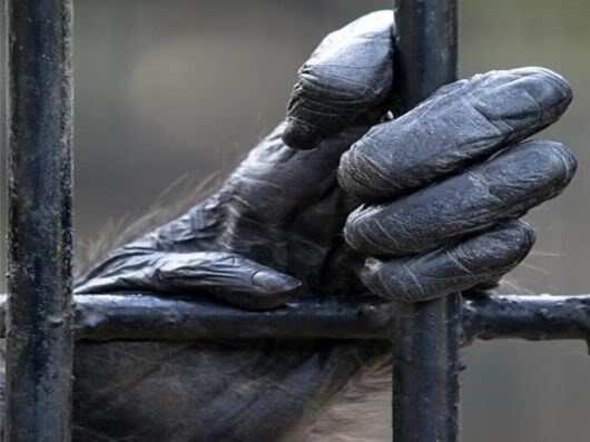 Wonderful Photography Worth Watching