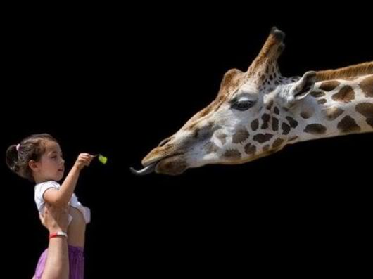 Wonderful Photography Worth Watching