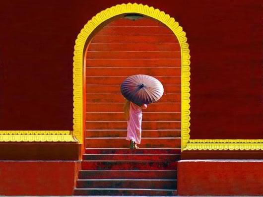 Wonderful Photography Worth Watching