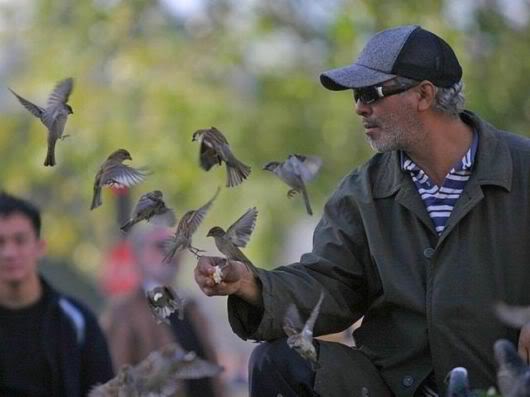 Wonderful Photography Worth Watching