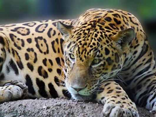 Wonderful Photography Worth Watching