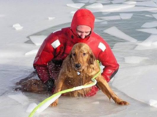 Wonderful Photography Worth Watching