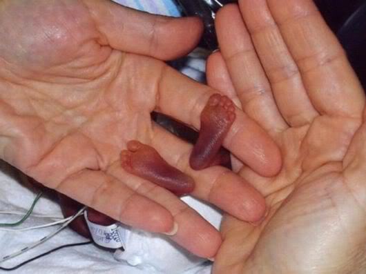 Wonderful Photography Worth Watching