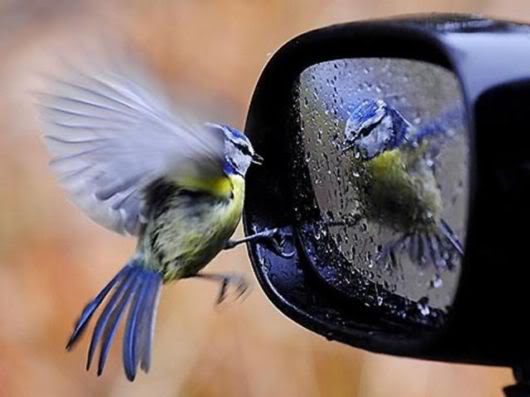 Wonderful Photography Worth Watching