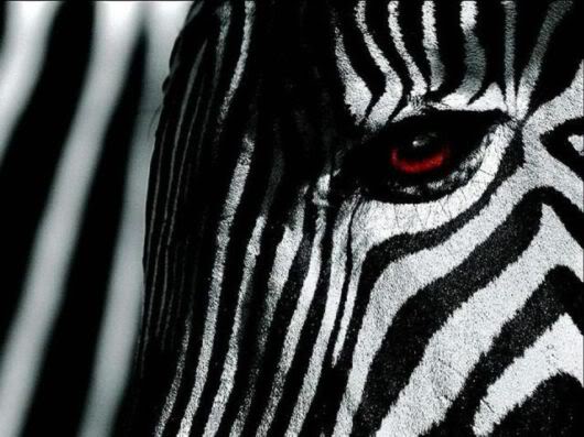 Wonderful Photography Worth Watching