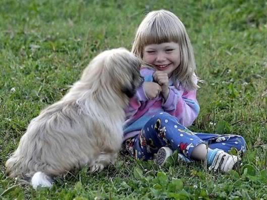 Wonderful Photography Worth Watching