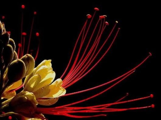 Wonderful Photography Worth Watching