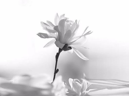 Wonderful Photography Worth Watching