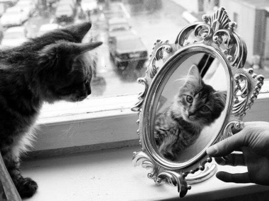 Wonderful Photography Worth Watching