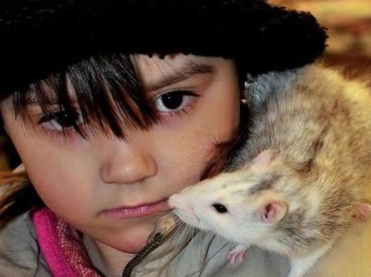 Wonderful Photography Worth Watching