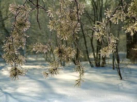 Wonderful Photography Worth Watching