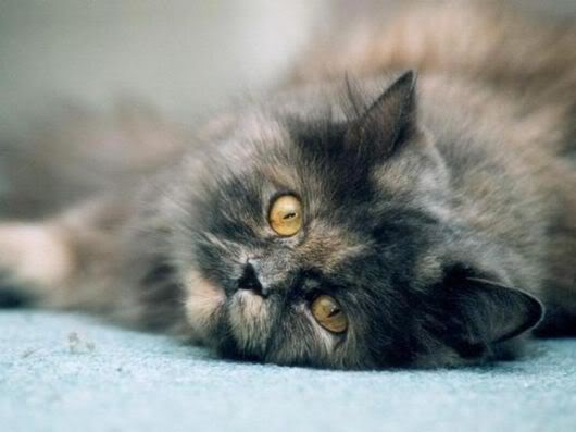 Wonderful Photography Worth Watching