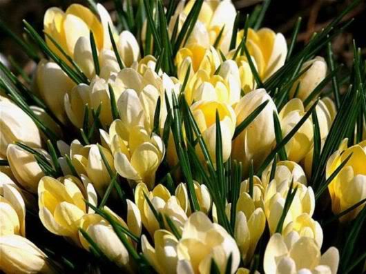 Wonderful Photography Worth Watching