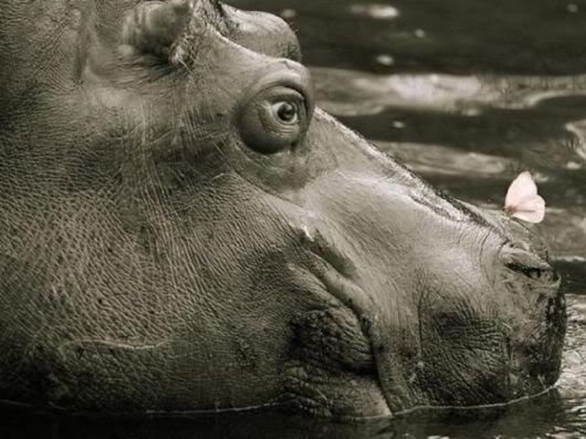 Wonderful Photography Worth Watching