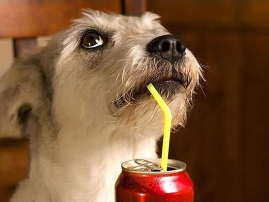 Wonderful Photography Worth Watching