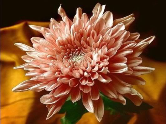 Wonderful Photography Worth Watching