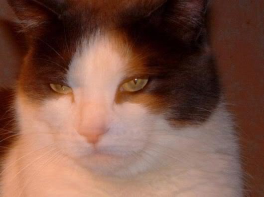 Wonderful Photography Worth Watching