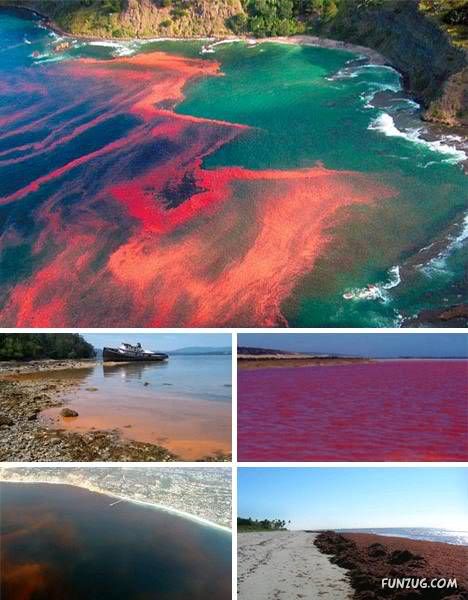 Top 7 Wonders of the Natural World