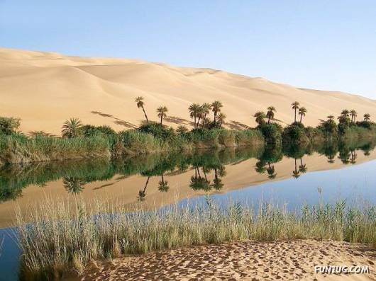 20 Most Incredible Desert Oases