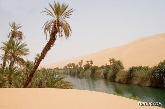 20 Most Incredible Desert Oases