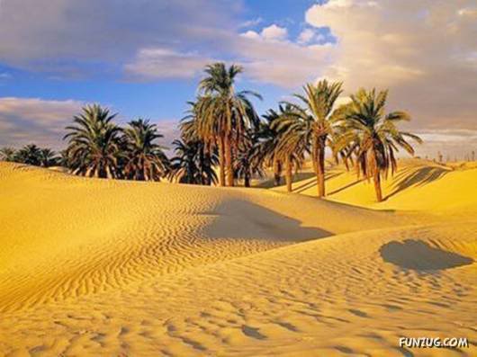 20 Most Incredible Desert Oases