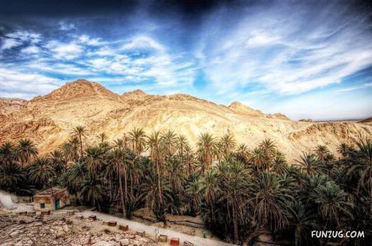 20 Most Incredible Desert Oases