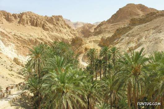 20 Most Incredible Desert Oases