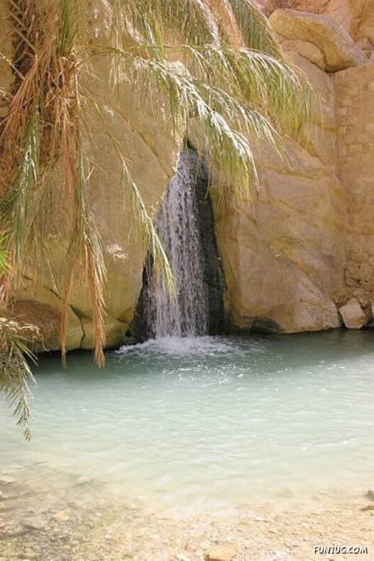 20 Most Incredible Desert Oases