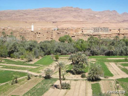 20 Most Incredible Desert Oases