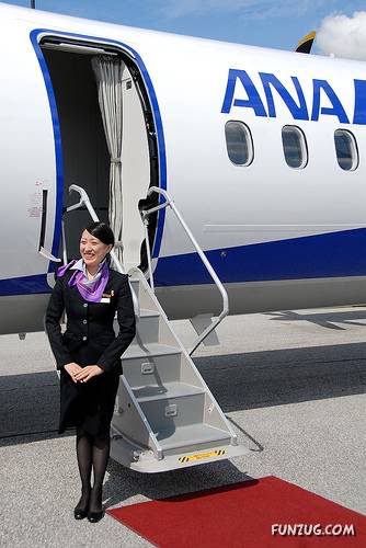 Beautiful Air Hostess Around the World